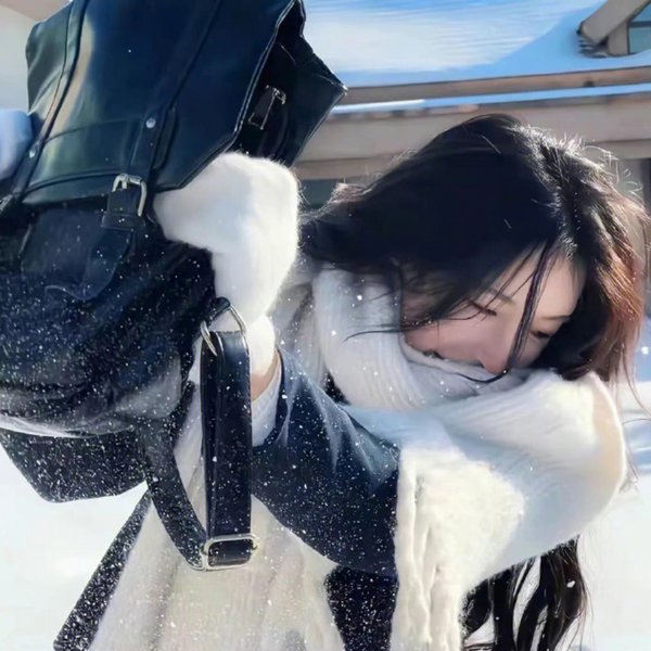黑之契约者2:流星的双子
